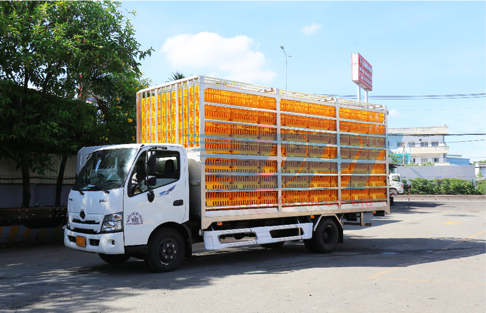 ĐỪNG BỎ QUA NHỮNG ĐIỀU NÀY KHI CHỞ GIA CẦM SỐNG BẰNG XE TẢI