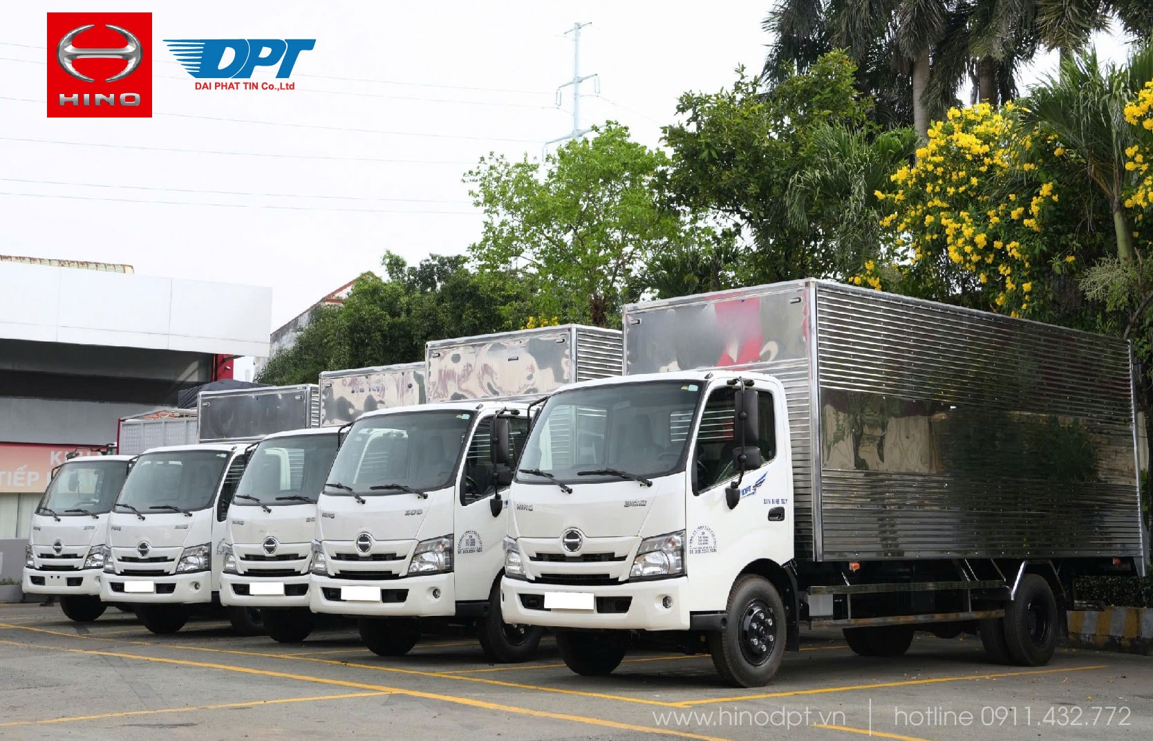 Mừng Xuân Ất Tỵ, cọc liền tay, nhận lì xì cực đỉnh